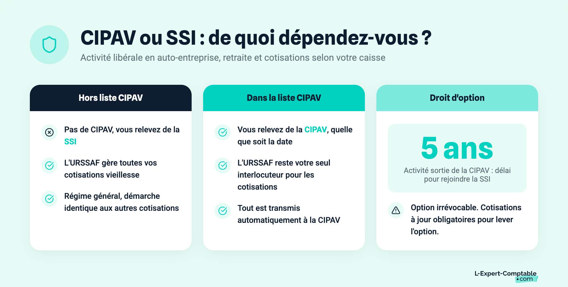 CIPAV ou SSI : de quoi dépendez-vous ?